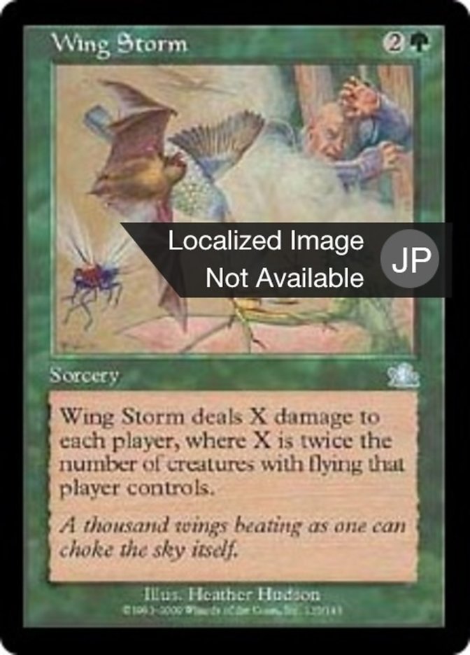 翼の嵐